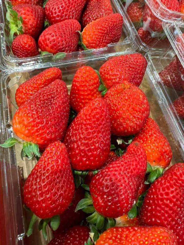 Bột năng tài ký 400g