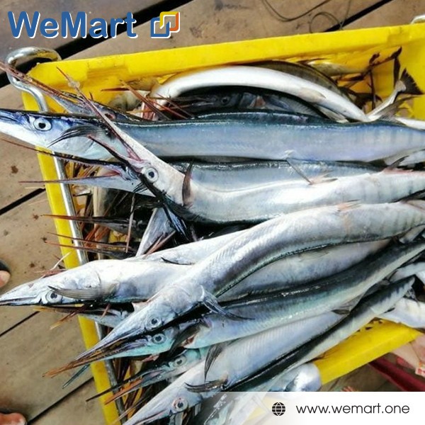 Cá dương xanh 35$