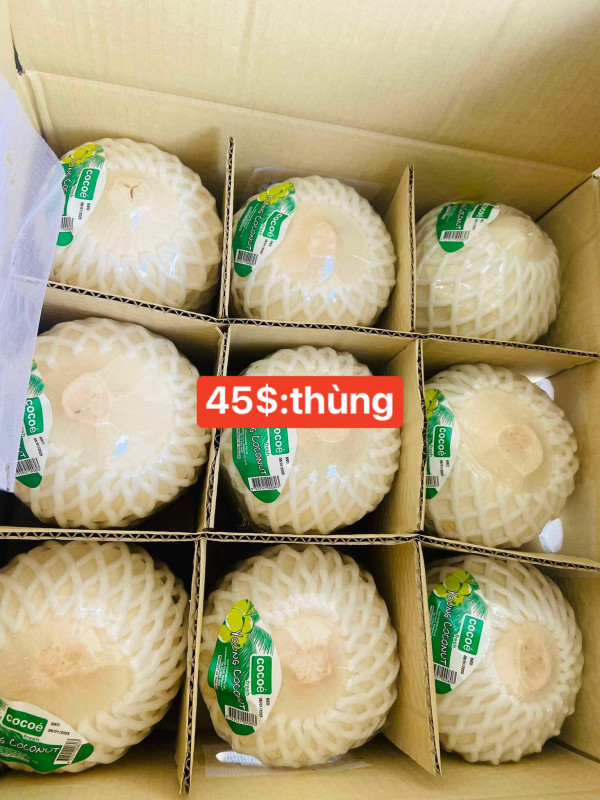 Cá basa kho tộ hộp 12$ 500g