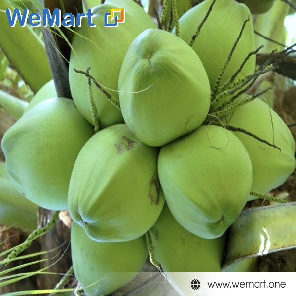 ca dứa muối ớt