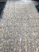 Cải Xanh Tươi 90$