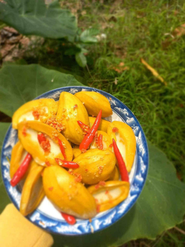 banh da cua le