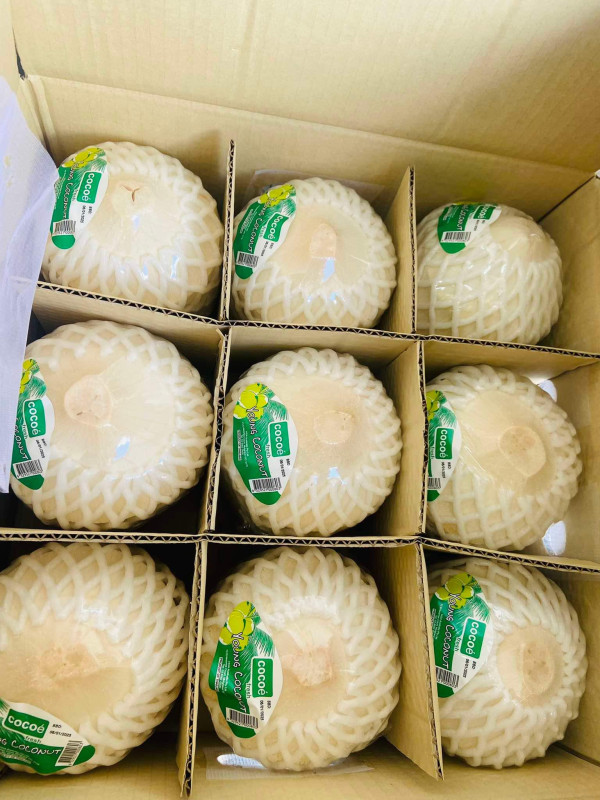 Dừa Thái 45$