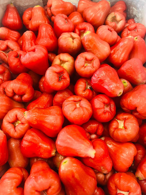 Mận Ấn Độ 140$