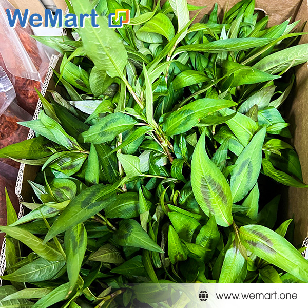 Cá chốt