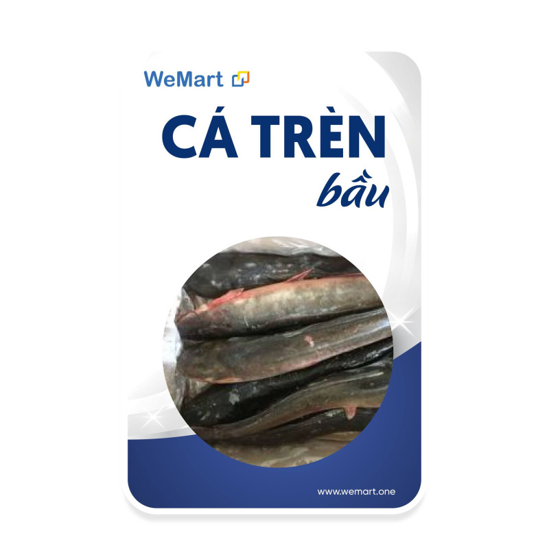 Bắp tươi 30 trái size M