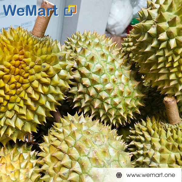 Sầu Riêng Ri6 nguyên trái 1 thùng