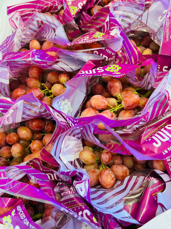 bồ kết